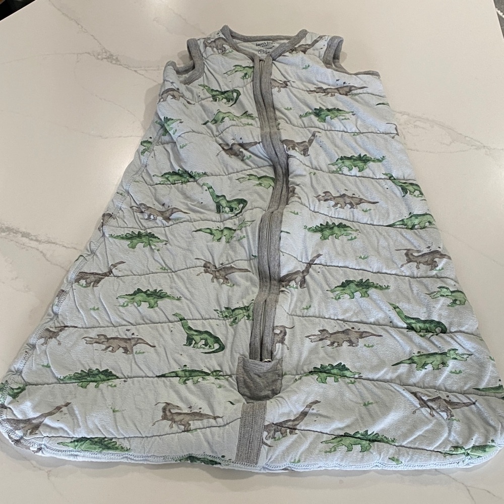🐝 Burt’s Bees Baby 🐝 Dinosaur Sleep Sack - Gray and Green